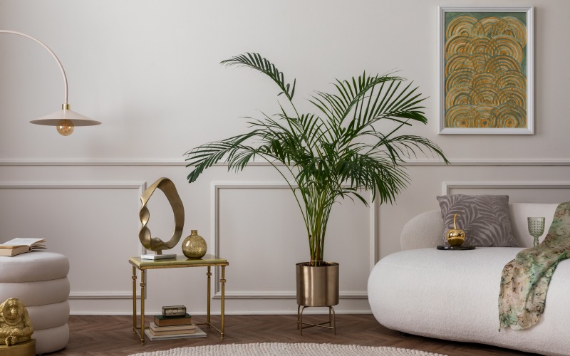 Art deco living room with plant